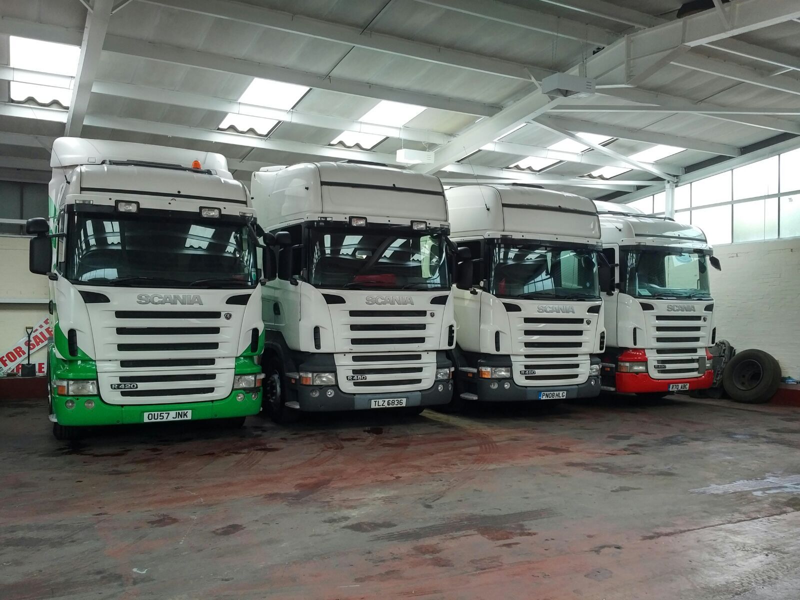 Steer Commercials Sales & Exports Ltd - anuncios sobre venta undefined: foto 2