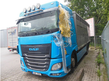 Transporte de ganado camión DAF XF 106 460