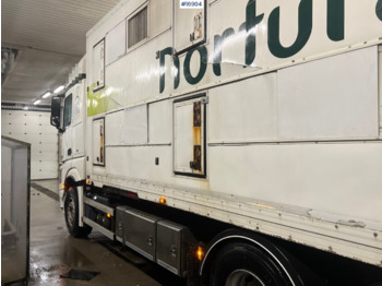 Transporte de ganado camión Mercedes Actros: foto 3