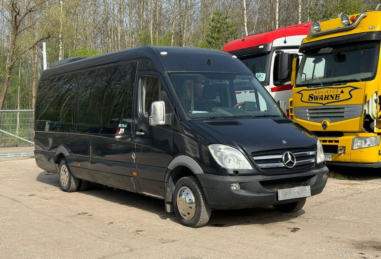 Minibús, Furgoneta de pasajeros Mercedes-Benz Sprinter 518 - VIP - 17 Seater: foto 1